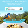 BirdiePlus Smart Bird Feeder with AI-powered Camera and Bird Recognition