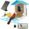 BirdiePlus Smart Bird Feeder with AI-powered Camera and Bird Recognition