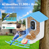 BirdiePlus Smart Bird Feeder with AI-powered Camera and Bird Recognition