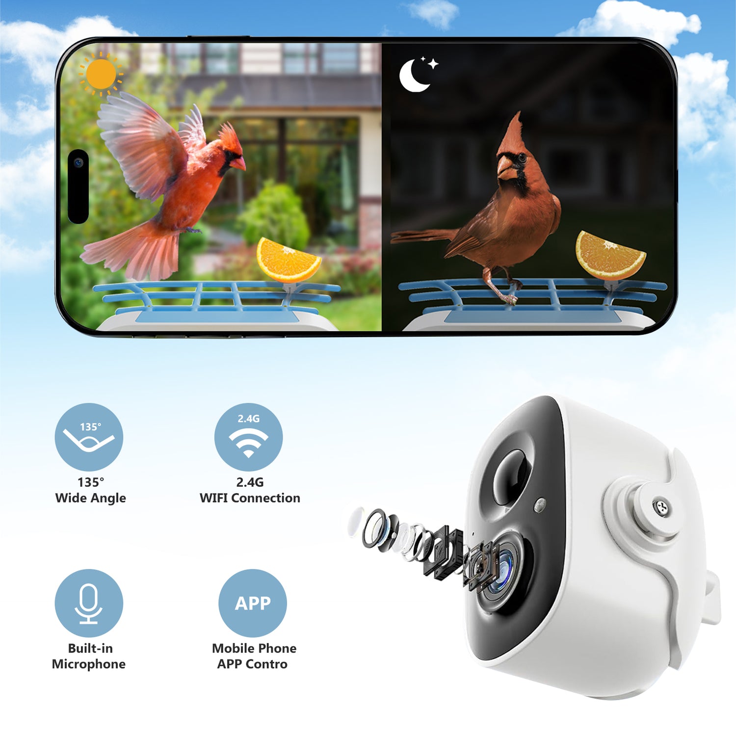 BirdiePlus Smart Bird Feeder with AIpowered and Bird Recognition