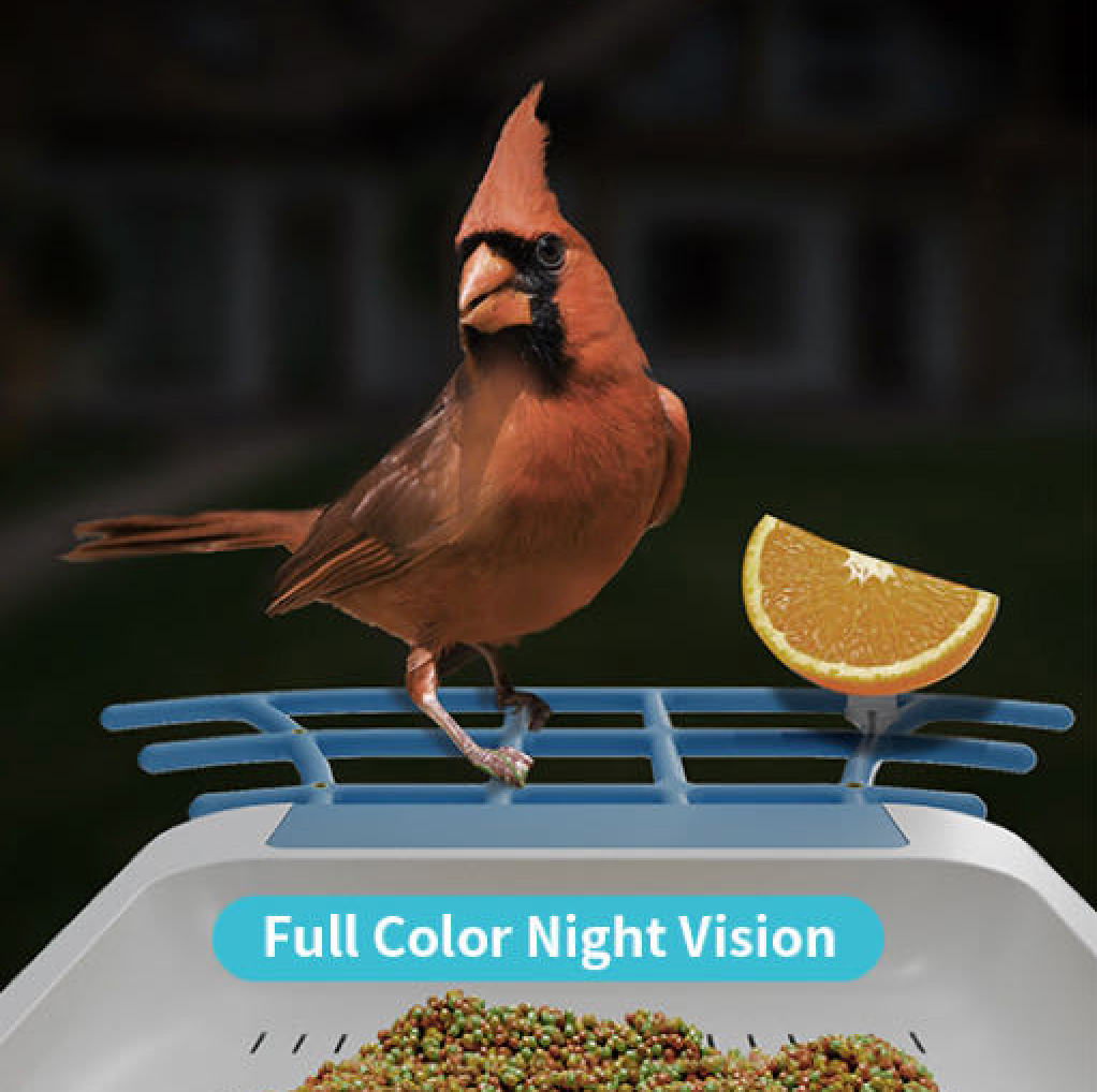 Smart Bird Feeder with Camera and Bird Recognition birdieplus